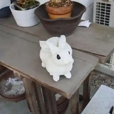 彌彦神社　(伊夜日子神社)の像