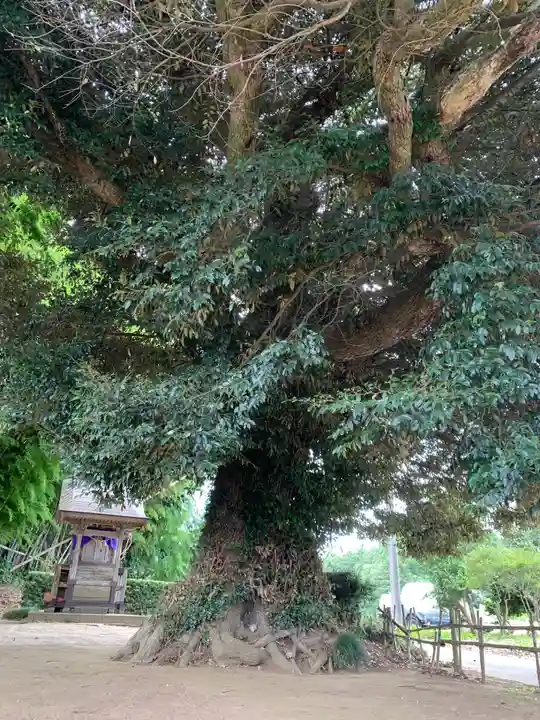 子安大明神(千葉県)
