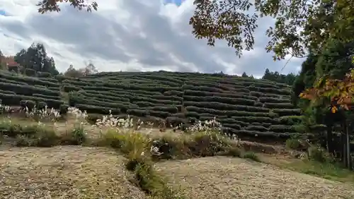 鶏足寺(滋賀県)