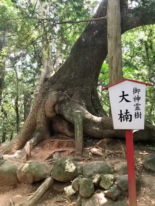 住吉神社(山口県)