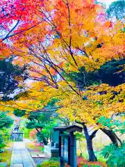 冨士浅間神社(茨城県)