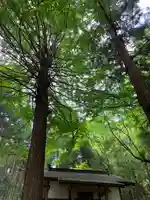 阿夫利神社の自然