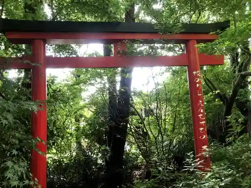 神徳稲荷神社の鳥居