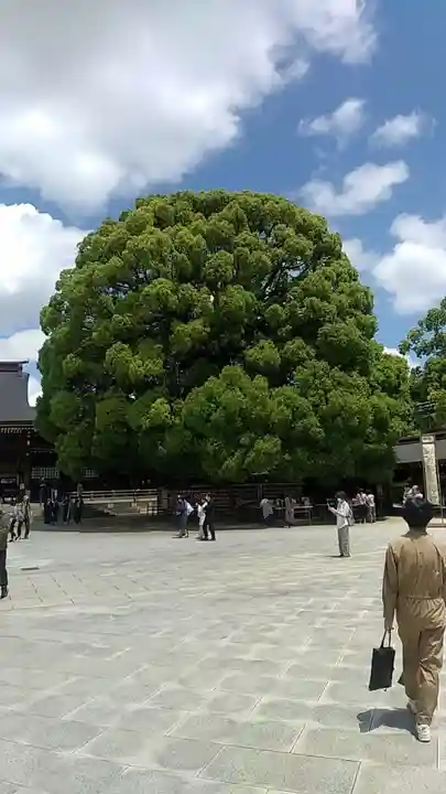 明治神宮(東京都)