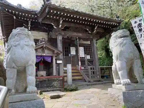 星井寺（ 明鏡山円満院星井寺虚空蔵堂 ）の狛犬