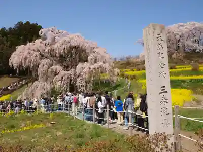 瀧桜神明宮(福島県)