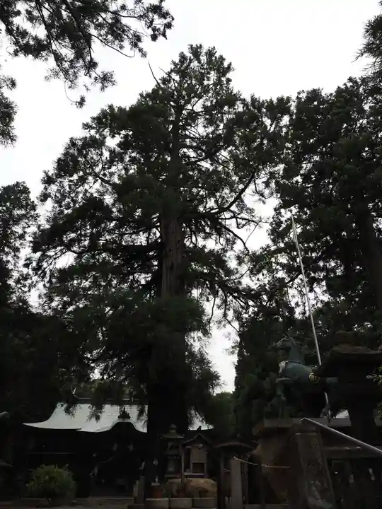 水主神社の自然