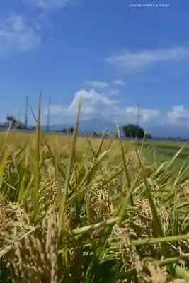 鈴鹿明神社(神奈川県)