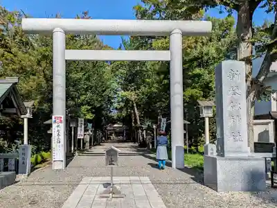 新琴似神社の鳥居