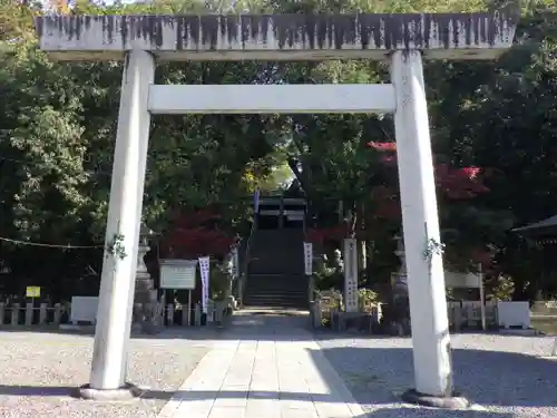 白山神社（二子町）の鳥居