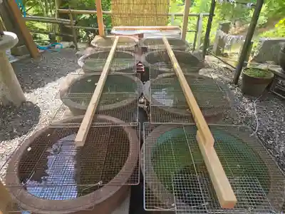 正法寺(滋賀県)