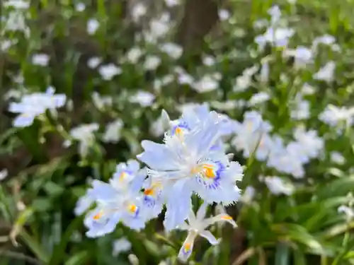 大宮温泉神社(栃木県)
