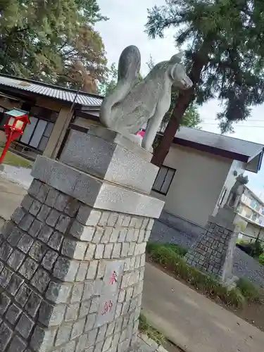 開運招福 飯玉神社の狛犬