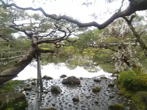 平安神宮の庭園