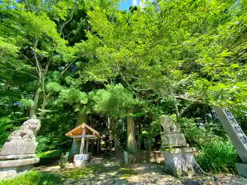 白河神社の狛犬