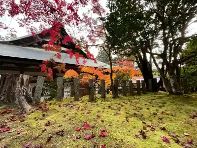 神峯山寺(大阪府)