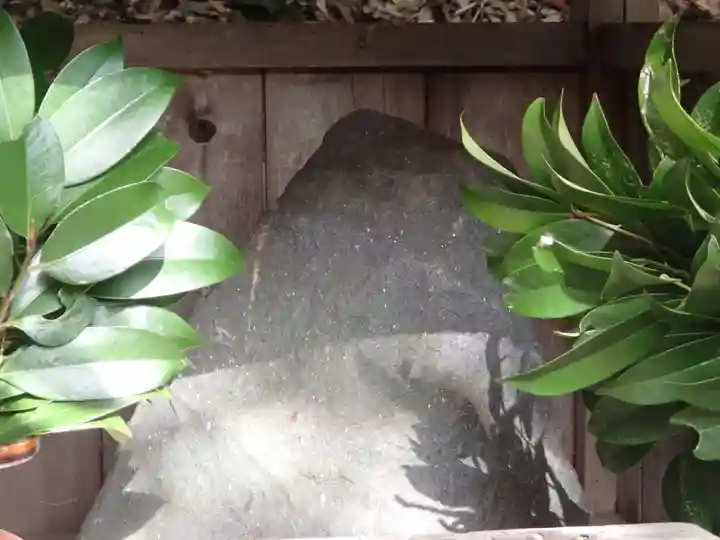 御櫛神社の自然