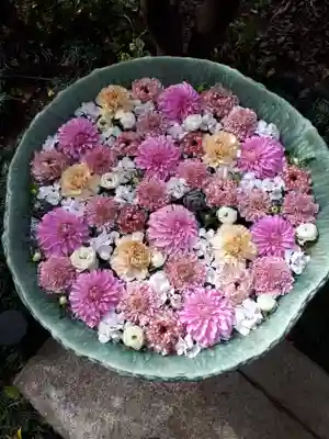 行田八幡神社の手水舎