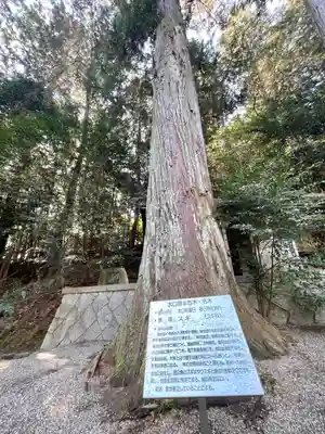 春日神社(滋賀県)