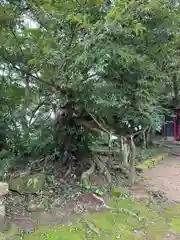 木花神社(宮崎県)