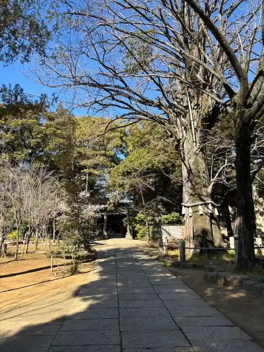 赤坂氷川神社(東京都)