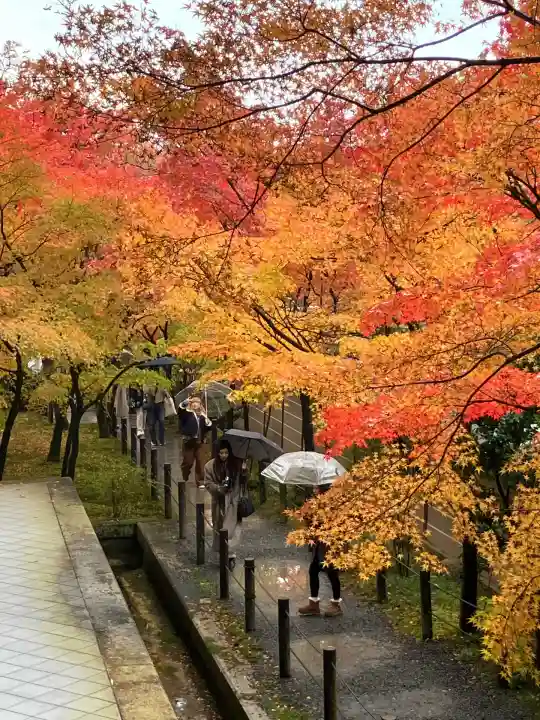 禅林寺(永観堂)(京都府)