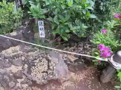 鳩森八幡神社の建物その他