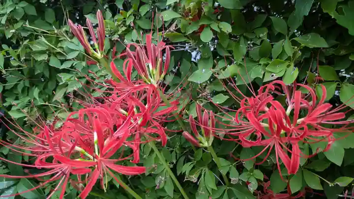 延命地蔵尊の周辺