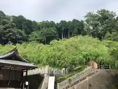 大縣神社の自然