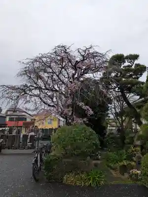 貞源寺(東京都)