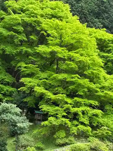 萬徳寺(福井県)