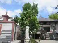 宗圓寺(神奈川県)