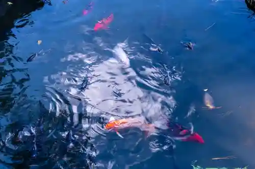 香椎宮(福岡県)