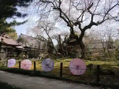 光丸山 法輪寺(栃木県)