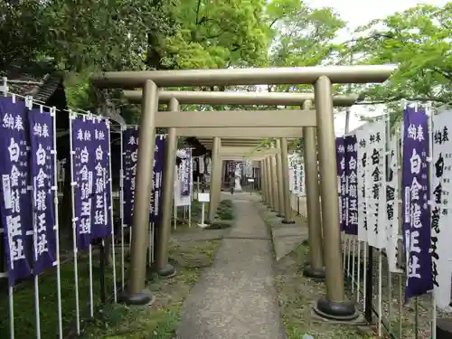白金龍王社(愛知県)