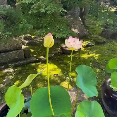 伊勢の国 四天王寺(三重県)
