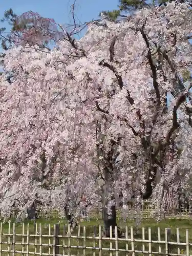 水火天満宮の自然