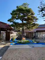 成蓮寺(島根県)