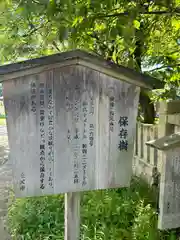 玉泉寺(石川県)