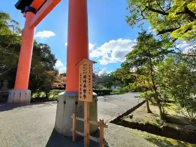 宇佐神宮(大分県)