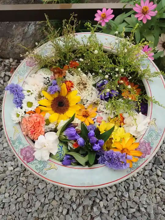 埼玉厄除け開運大師・龍泉寺(切り絵御朱印発祥の寺)の庭園