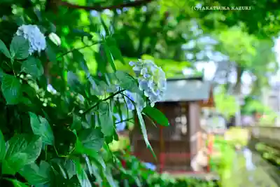 谷保天満宮(東京都)
