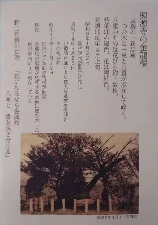 照源寺(三重県)