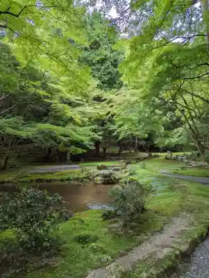 醍醐寺(京都府)