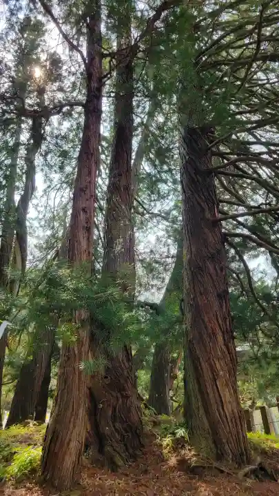 玉桂寺の{uncategorized: "未分類", other: "その他", undefined: "問題あり", building: "その他建物", grave: "お墓", sacred_gate: "鳥居", guardian: "狛犬", statue: "像", buddha: "仏像", history: "歴史", nature: "自然", garden: "庭園", animal: "動物", pagoda: "塔", temizu: "手水舎", mountain_gate: "山門・神門", sanctuary: "本殿・本堂", subordinate: "末社・摂社", art: "芸術", scenery: "景色", jizo: "地蔵", ema: "絵馬", goshuin: "御朱印", omikuji: "おみくじ", items: "授与品その他", amulet: "お守り", goshuincho: "御朱印帳", eats: "食事", festival: "お祭り", votive_dance: "神楽", shichigosan: "七五三参", wedding: "結婚式", experience: "体験その他", initially: "初詣", around: "周辺", anti_infection: "感染症対策"}