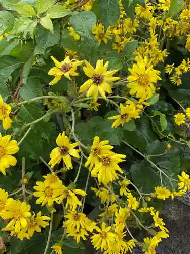 太部古天神社(岐阜県)