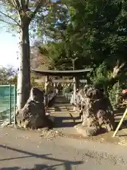 馬場氷川神社の鳥居