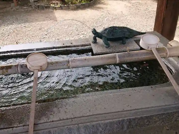 八坂神社の手水舎