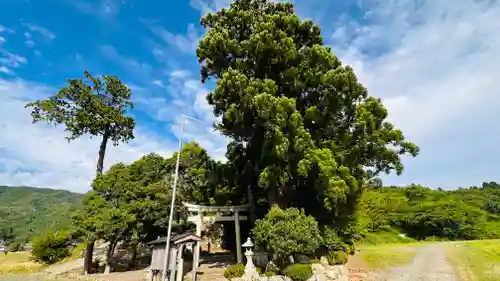 大幡彦姫神社(福井県)