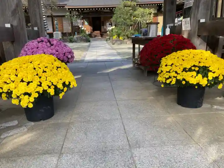 妙圓寺のその他建物